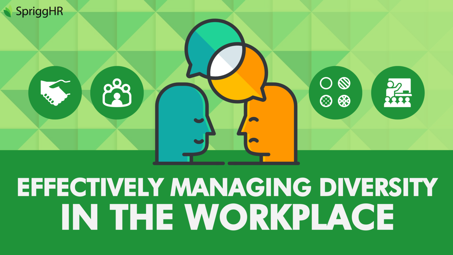 Effectively Managing Diversity In The Workplace • Sprigghr