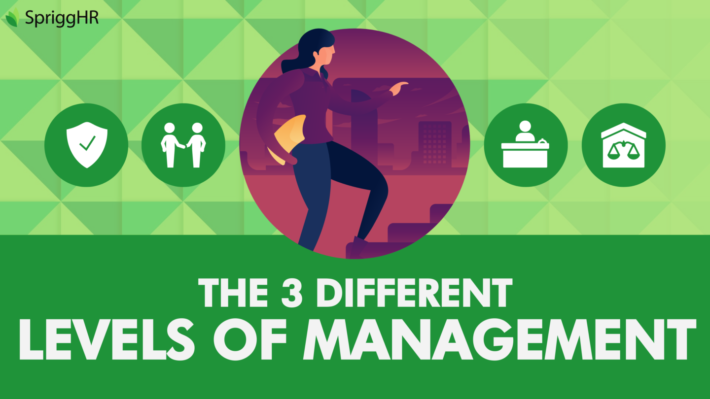 What are the three 3 levels of management what is the focus of managers of each level?