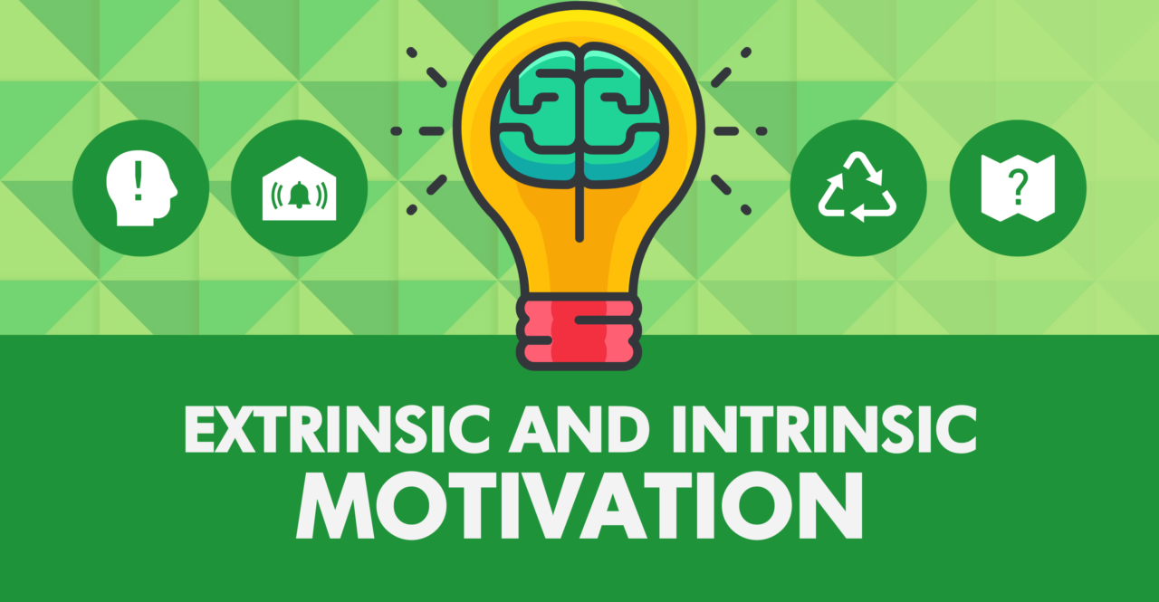 intrinsic extrinsic