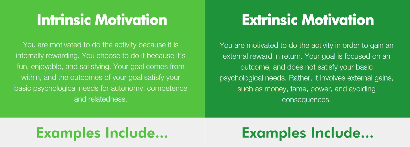 extrinsic vs intrinsic motivation exam