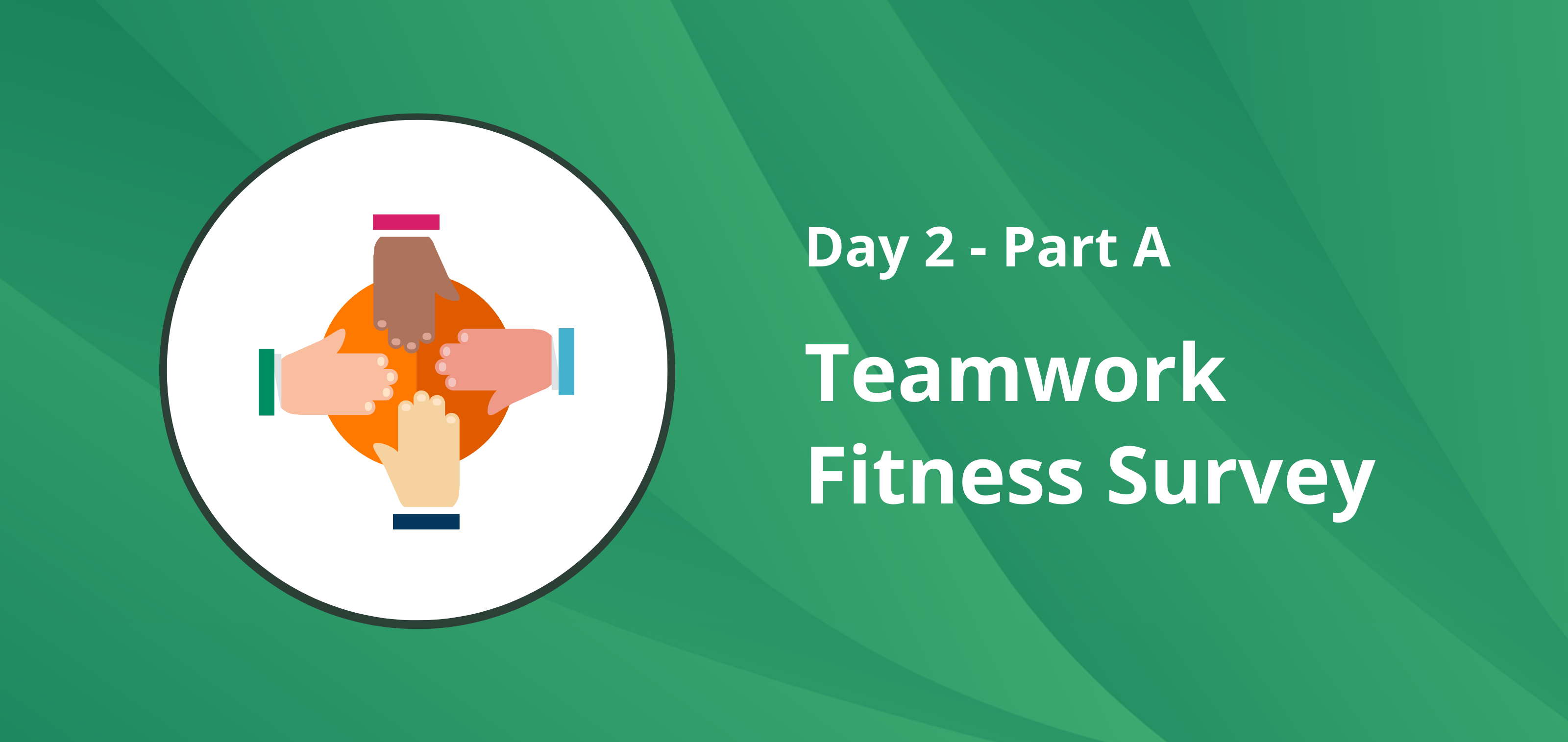 Teamwork Fitness Survey